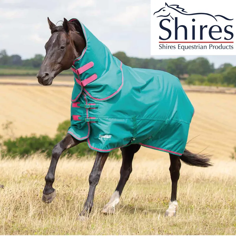 Shires Tempest Original 100g Turnout Rug and Neck Set - Green and Pink 